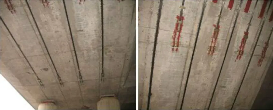 CFRP Smart Panel Reinforcement