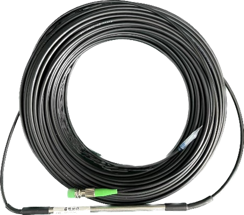 RS-CABLE-D1